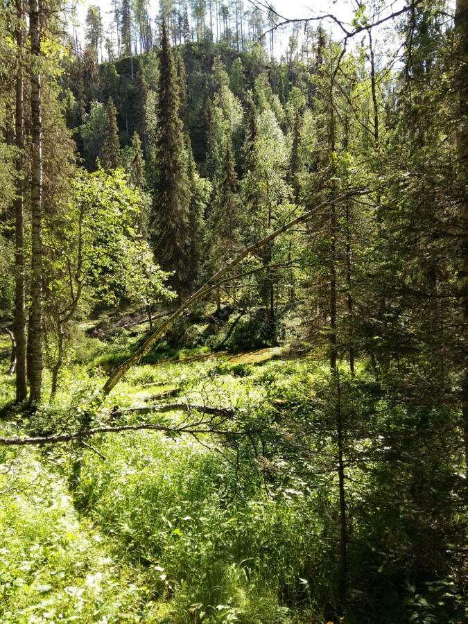 Salmikankaankelo C4 Ruka Esterno foto